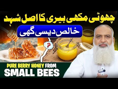 Asli Choti Makhi Berry Honey | Pure Wild Honey Pakistan | Pure Desi Ghee