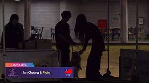 74K views · 30K reactions | 2025 Dog Sports Dance World Championship...