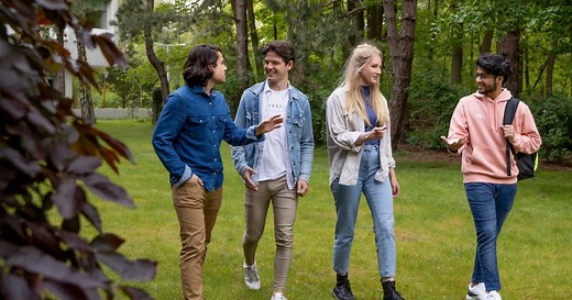 International Business Administration BSc | Tilburg University