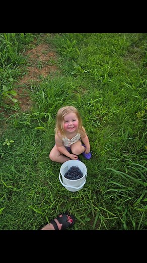 Blue berries and rosy cheeks! This Tennessee heat has us sweating but our first harvest on the farm was worth it. Off to the garden next... #tennessee | Lifestyle Overland