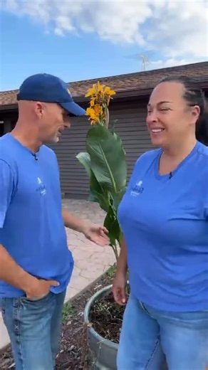 Time to tuck those canna lilies in for winter! ❄️ Here’s how to cut them back, dig them up, and store them properly so they’ll be ready to burst back to life next spring. 🌿✨ Keep the bulbs dry, cool, and cozy — and they’ll reward you with gorgeous blooms year after year. 🌸 #CannaLilies #FallGardenPrep #GardenTips #WinterStorage #FlowerCare #Gardening #PlantCare #GardenLife #OverwinteringPlants | Sharkey's Greenhouses