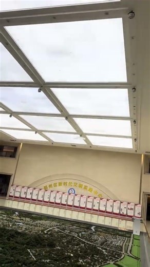 Amazing Biomimetic Butterfly Robot | Realistic Flying #butterfly #asmr#bionics #flyingtoy