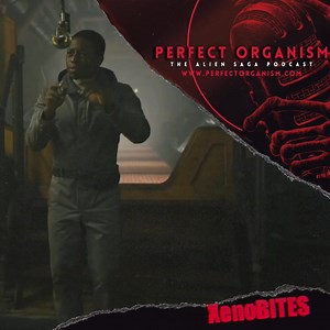 157 reactions · 11 shares | Andy might be the shining star of Alien Romulus. #AlienRomulus #DavidJonsson #droids #android #WeylandYutani #xenomorph #hrgiger #danobannon #RidleyScott #JamesCameron | Perfect Organism: The ALIEN Saga Podcast | Facebook