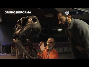 Descubren nueva especie de dinosaurio en Argentina