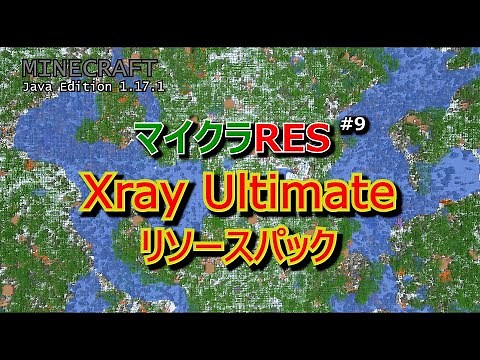 【マイクラRES #9】ブロックが透けてみえるリソースパック [1.17.1]