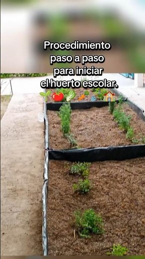 Procedimiento paso a paso para iniciar un huerto escolar. 👩🏻‍🌾👨🏼‍🌾🌱🍅🥬🥕🪏🏫