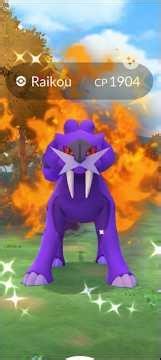 Finally! Managed To Get Shadow Shiny Raikou #raid #shadow #shiny #legendary #gotcha #viral #like