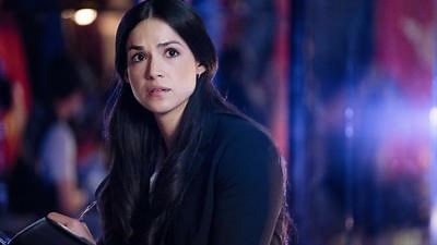 CSI: Vegas Season 2 Episode 1 She's Gone