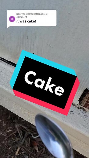 Replying to @darmokattenagre #replytocomments #cake #decoration #asmr #comment #damage #crunchy #asmrsounds