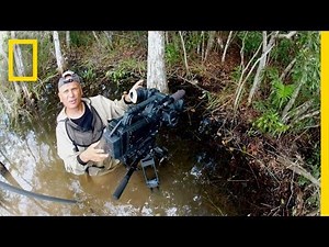 Swimming With Alligators (Behind the Scenes) | America's National Parks