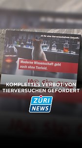 1.3K views · 14 reactions | Initiative eingereicht: Komplettes Verbot von Tierversuchen gefordert⁣ Die gleichen Initianten, die im Februar 2022 deutlich scheiterten, lassen nicht locker. Am Montag reichten sie in Bern ihre neue Tierversuchsverbots-Initiative ein. Quer durch die Parteienlandschaft findet man das Volksbegehren zu extrem.⁣ Link zur ganzen Sendung  https://bit.ly/3ULOwlU | TeleZüri | Facebook