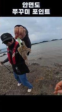 안면도 쭈꾸미 포인트 #shorts 워킹 쭈꾸미 포인트 #fishing