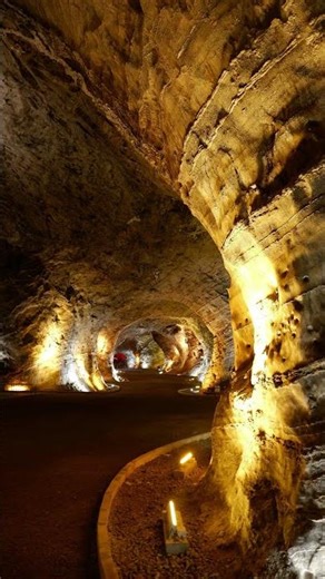 Mammoth Cave Dark Life