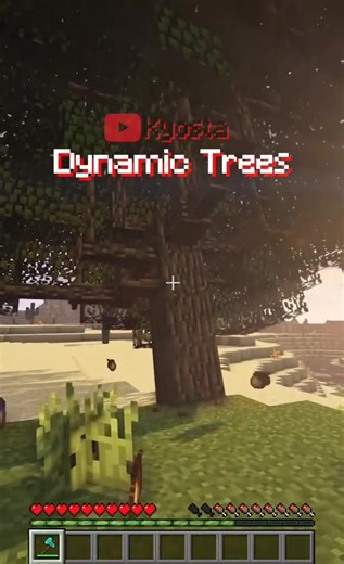 Minecraft Mod: Dynamic Teres
