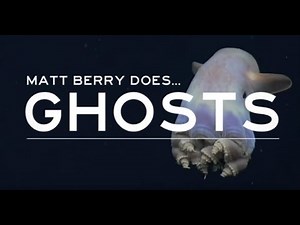 Matt Berry does #4 Ghosts