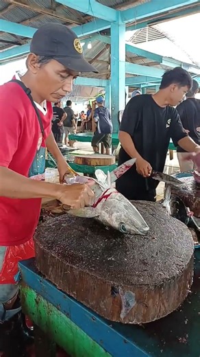 SMALL AND FRESH TUNA CUTS DONE BY ARIF #fishcutting #tuna #fyp #subscribe #viral #fish