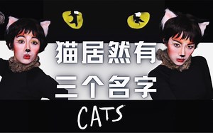 独白音乐剧｜你知道猫有三个名字吗？|改编自音乐剧《Cats猫》——《Macavity:The Mystery Cat 马卡维提:神秘的猫》