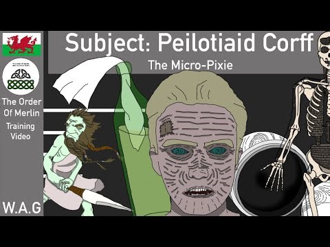 Peilotiaid Corff (The Order Of Merlin Training Video Fifty Four)