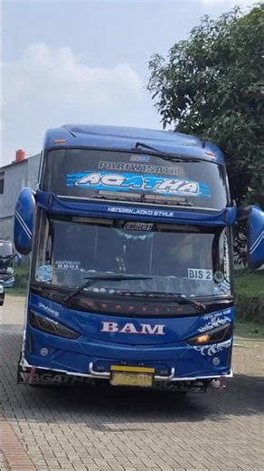 Bus Bam Trans "Agatha"