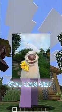 HOW TO GET MINECRAFT JAVA FOR FREE (LEGIT WAY) #minecraft #viral #freeminecraft