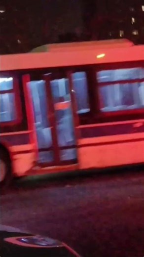 MTA: 2010 Novabus LFSA 1202 Bx4A Bus West Farms Rd Southern Bl Via Metropolitan Via Westchester Av