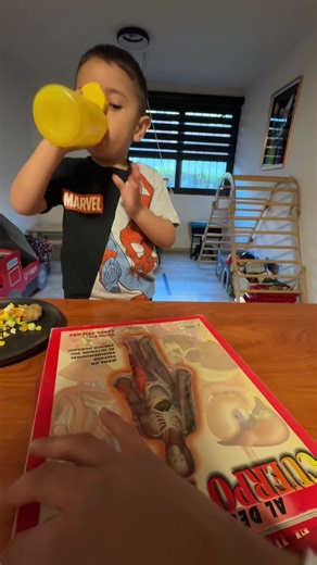 Video de Vitolin (@vitolin_r) relacionado con “libro del cuerpo humano para niños”