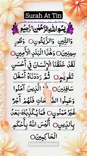 #SurahAtTin #tilawatequran #quran #qurantilawat