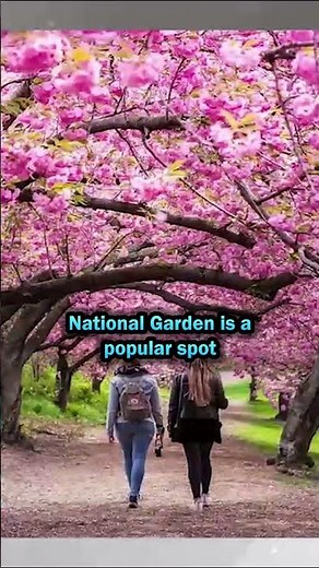 Ultimate 5 Day Tokyo Itinerary for First Time Visitors (2024)