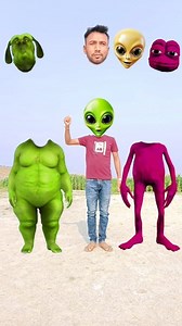 105K views · 674 reactions | Purple frog vs green fatty dog & me - Correct head matching dome tu cosita song | Dayal Sarkar | Facebook