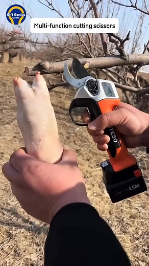 11K views · 19 reactions | ✨LINK IN COMMENTS✨ Electric Scissiors for farmer and easy use save time! #amazon #amazonfinds #gadgets #usa #canada #amazonmusthaves #fyp #reels | Machine Blog 59V | Facebook