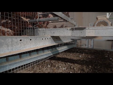 VALLI - Manure Collection - Cleaning Belt