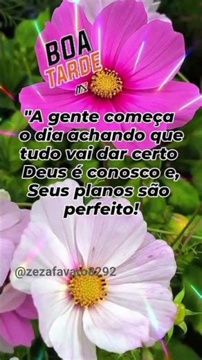 " Os planos de Deus são perfeitos".#amor #motivocional #somdapresença