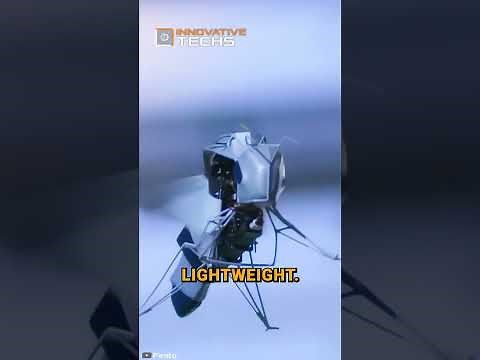 Take a Look At The New Bee Robots #shorts