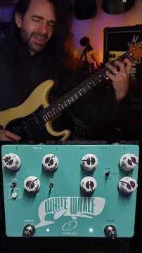 One of the Greatest Pedals Ever || Whate Whale Spring Reverb & Trem #guitar #guitartone #surf #rock
