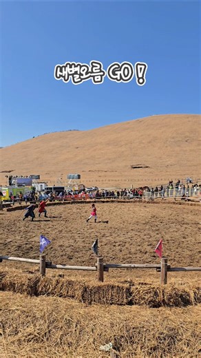 ▶️ 새별오름 들불축제 실시간! #jejuisland #새별오름들불축제 #제주들불축제 #제주오름