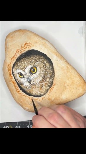 Saw-Whet Owl Rock Painting in 30 Seconds!