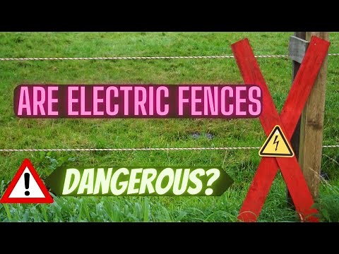 The Truth About Electric Fences: Myth Busters