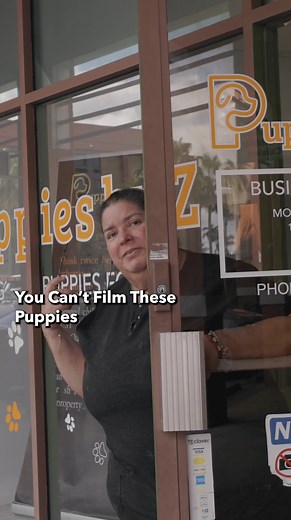 A puppy mill is a commercial dog-breeding facility that focuses on increasing profit with little overhead cost. The health and welfare of the animals is not a priority The Long awaited Rescue Movie is Finally Here Get ready to be inspired for 1-hour Movie Link https://youtu.be/jguYncn4Jc4 “This is Dan” “Unsung Hero: Man’s Remarkable Rescues Despite Having Little to No Money Will Leave You Inspired” Dan could volunteer at an animal shelter or a rescue, but his heart is out here, with the animals 