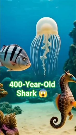 5 Oldest Fish Still Alive in the World 🐟🌍 #globaltimetravel