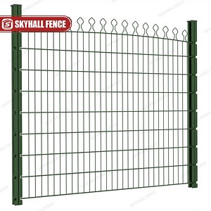 [Hot Item] Turkish Type Self-Lock Decoration Fences Double Horizontal Wire Decorative Fences