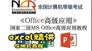 《计算机二级EXCEL精讲》保姆级教程 稳过考试