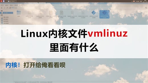 Linux高级篇02：Linux内核文件vmlinuz里面有什么