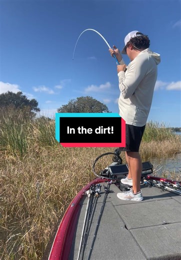 Catch Surprising Fish by Throwing Up into the Dirt