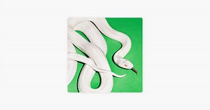 infinite source by Deftones on Apple Music