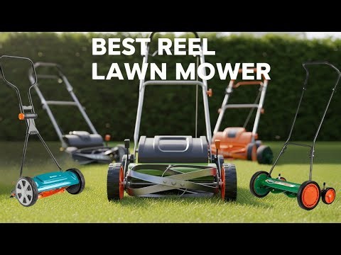 The Shocking Truth About Reel Lawn Mowers Nobody Tells You - best reel lawn mower |