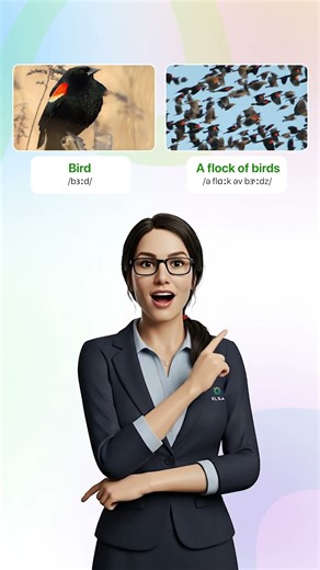 What do we call a group of crows? Hint: It sounds spooky! Comment your answer!