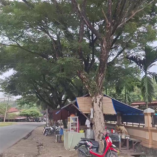 #lontong #kulinertiktok #peranginan #paluta_gunungtua