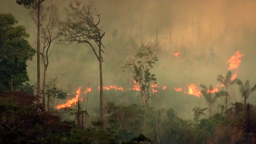 Cowspiracy - O Segredo da Sustentabilidade Trailer Original