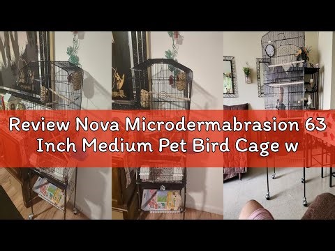 Review Nova Microdermabrasion 63 Inch Medium Pet Bird Cage with Detachable Rolling Wrought Iron Stan