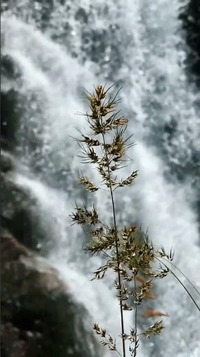 I Tested 10 "Relaxing" Soundtracks For Stress Relief music